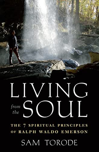 man standing near a waterfall - cover of living soul by Sam Torode 